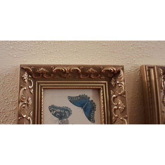 Gold Gilt Frame Wood Gesso Ornate Butterfly Print Blue Canada Vintage Set of 2 - Picture 2 of 8
